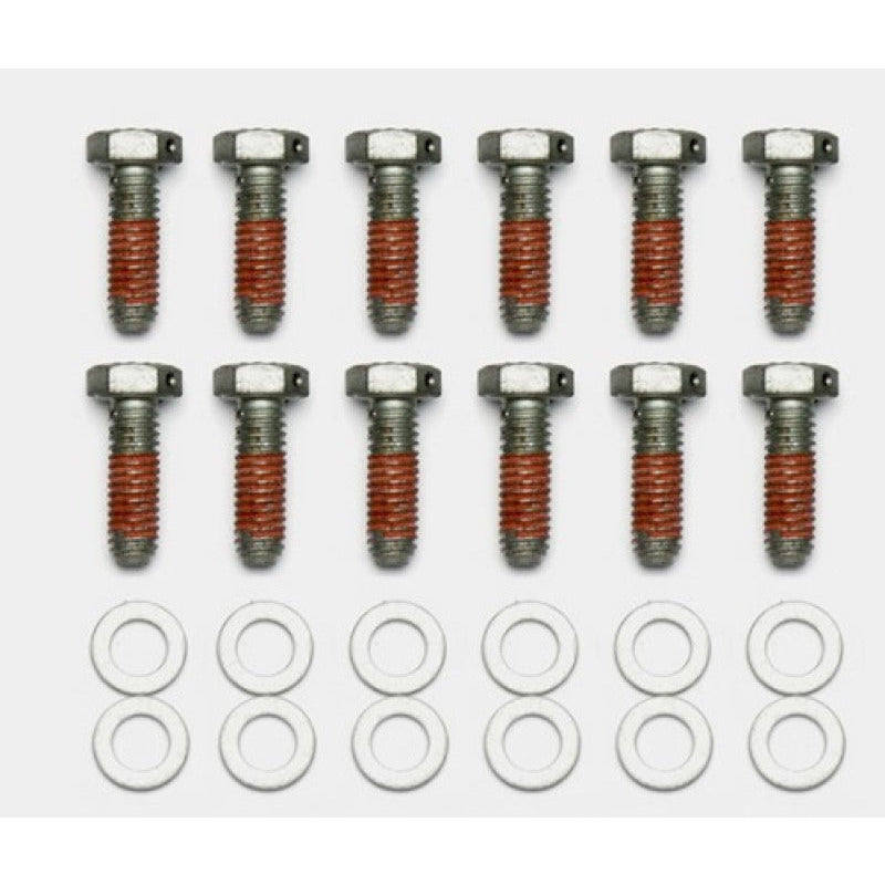 Wilwood Bolt Kit - 5/16-18 x 1.00 LG - 12 pk Wilwood Brake Hardware