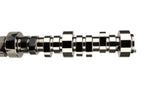 COMP Cams Camshaft GM LS1 & LS6 XFI 286