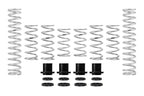 Eibach 18-19 Polaris RZR XP Turbo (Fox Dynamix Pro-UTV) Stage 2 Performance Spring System (Set of 8)