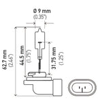 Hella Bulb 886 12V 50W Pgj13 T325
