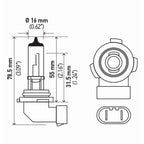 Hella Bulb H10/9145 12V 45W Py20D T4 (2) Hella Bulbs