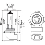 Hella H10 12V 65W Xen White Bulb (Pair) Hella Bulbs