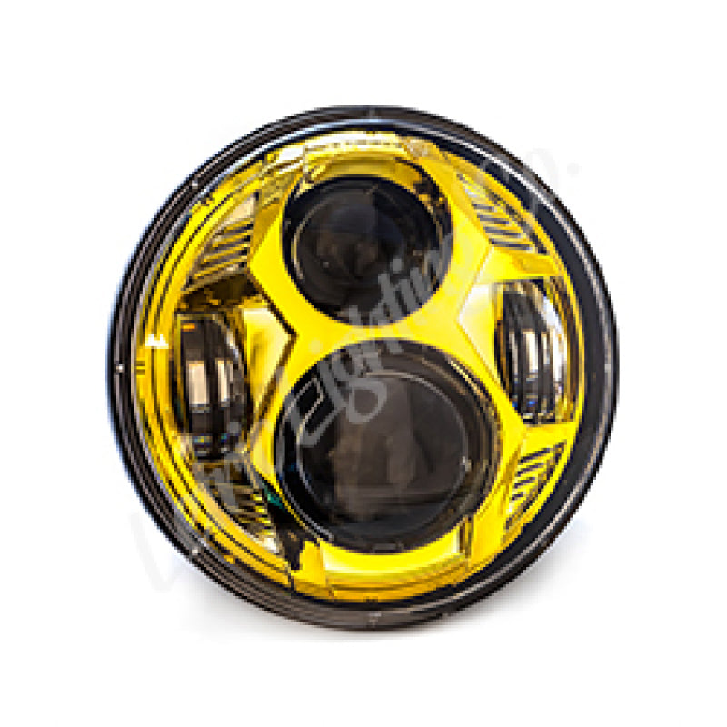 Letric Lighting 5.75in Gold LED