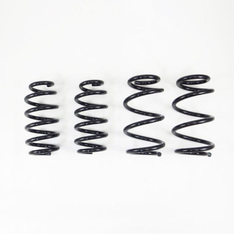 RS-R 2017+ Tesla Model 3 (RWD) Down Sus Springs RS-R Lowering Springs