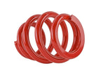 Skunk2 Universal Race Spring (Elliptical) - 6 in.L - 2.5 in.ID - 14kg/mm (0600.250.014E)