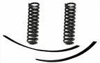 Skyjacker 3.5-4" KT 66-72 F100/1504WD Skyjacker Lift Springs