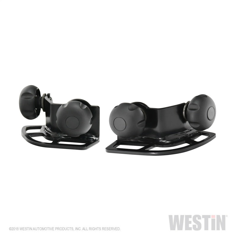 Westin Multi-Point HLR Adjustable Tie Down - Black