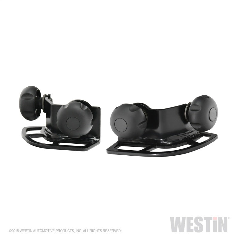 Westin Multi-Point HLR Adjustable Tie Down - Black
