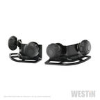 Westin Multi-Point HLR Adjustable Tie Down - Black
