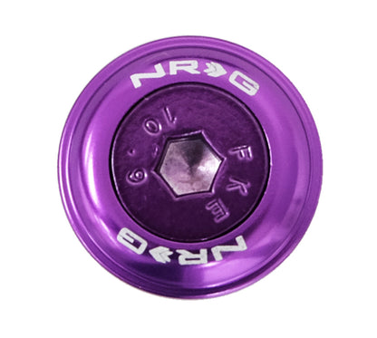 NRG Fender Washer Kit w/Color Matched M6 Bolt Rivets For Plastic (Purple) - Set of 10