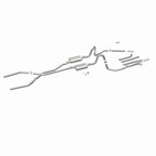 MagnaFlow Sys Cat-Back 64-67 GM A-Body
