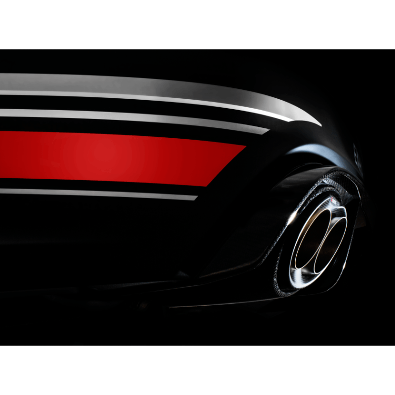 Akrapovic 14-17 Audi RS6 Avant (C7) Evolution Line Cat Back (Titanium) w/ Carbon Tips Akrapovic Catback